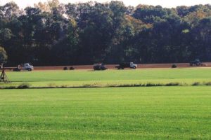 Bsf Harvesting Sod