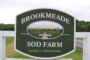 Brookmeade Sod Virginia35
