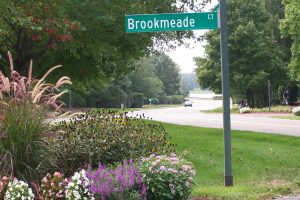 Brookmeade Sod Virginia77