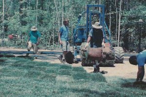 Laying Sod Brookmeade