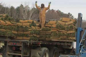 Loading Sod Brookmeade