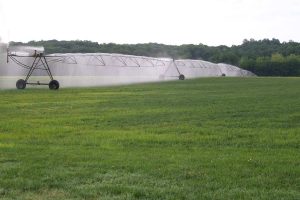 Sod Farm Pivoting