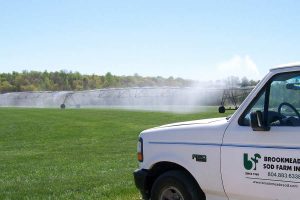 Sod Grass Farm